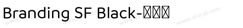 Branding SF Black字体转换